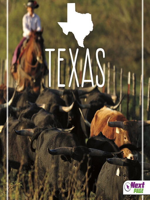 Title details for Texas by Bridget Parker - Wait list